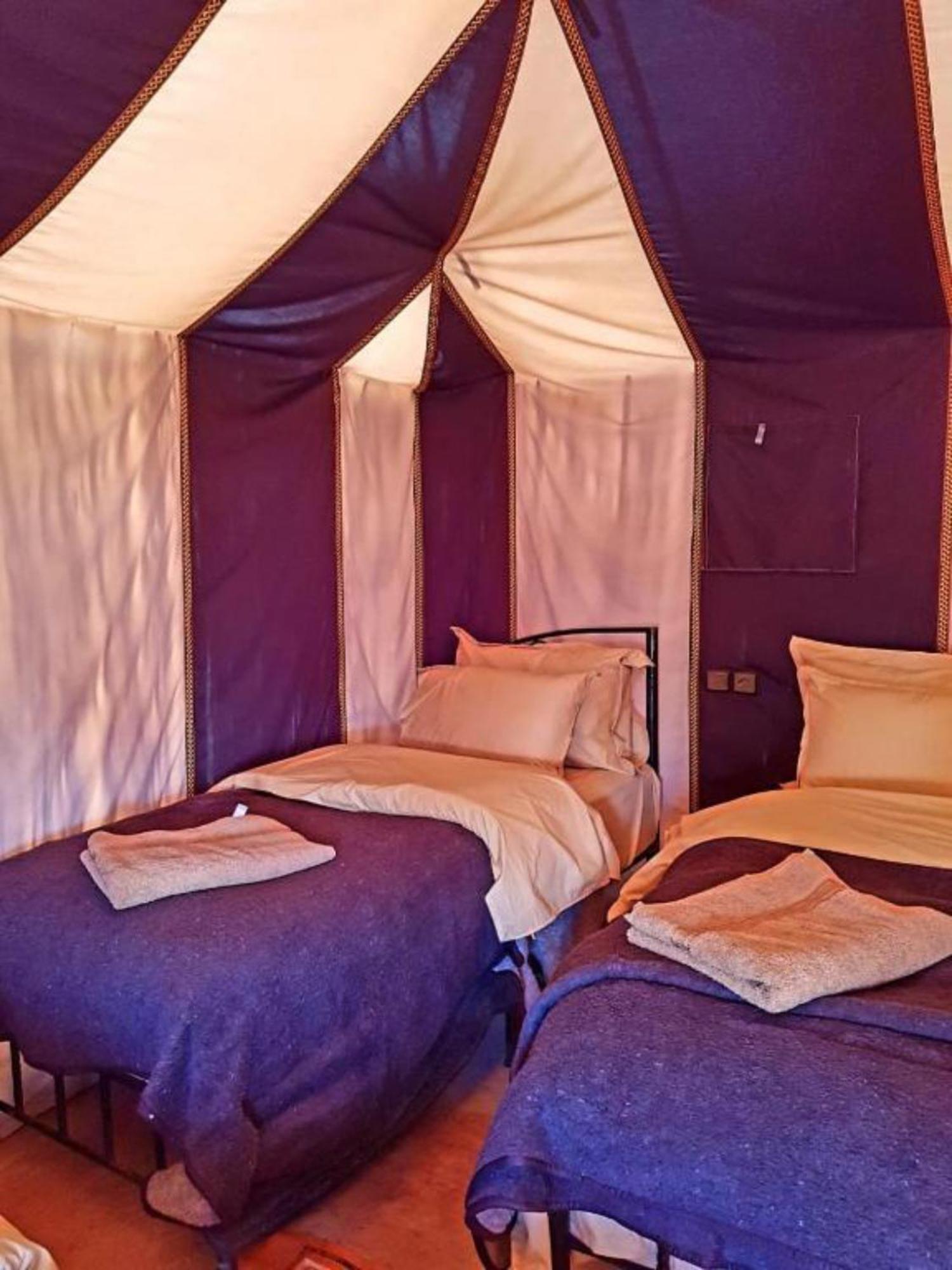 Sahara Desert Glamping
